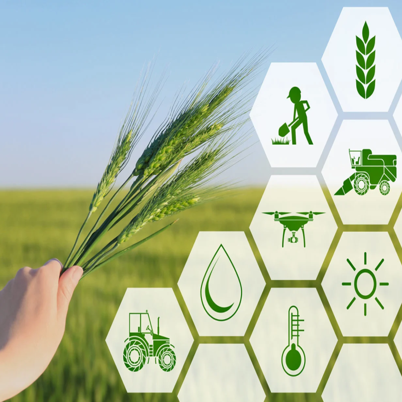 Why Choose MAHEK AGRITECH