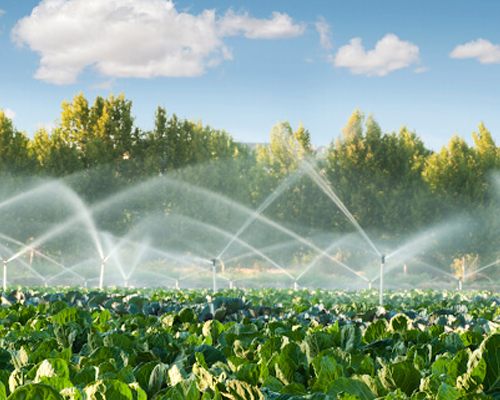 Irrigation System