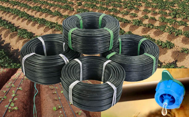 Drip Irrigation Project