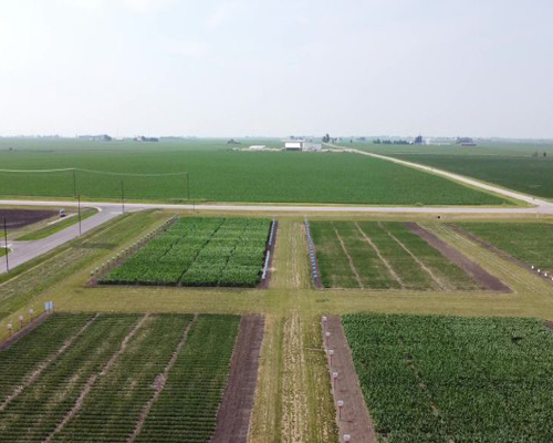 Field Demo
